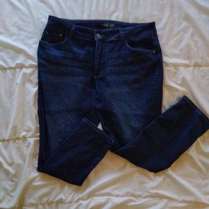 Riders by Lee midrise skinny curvy fit size 16P